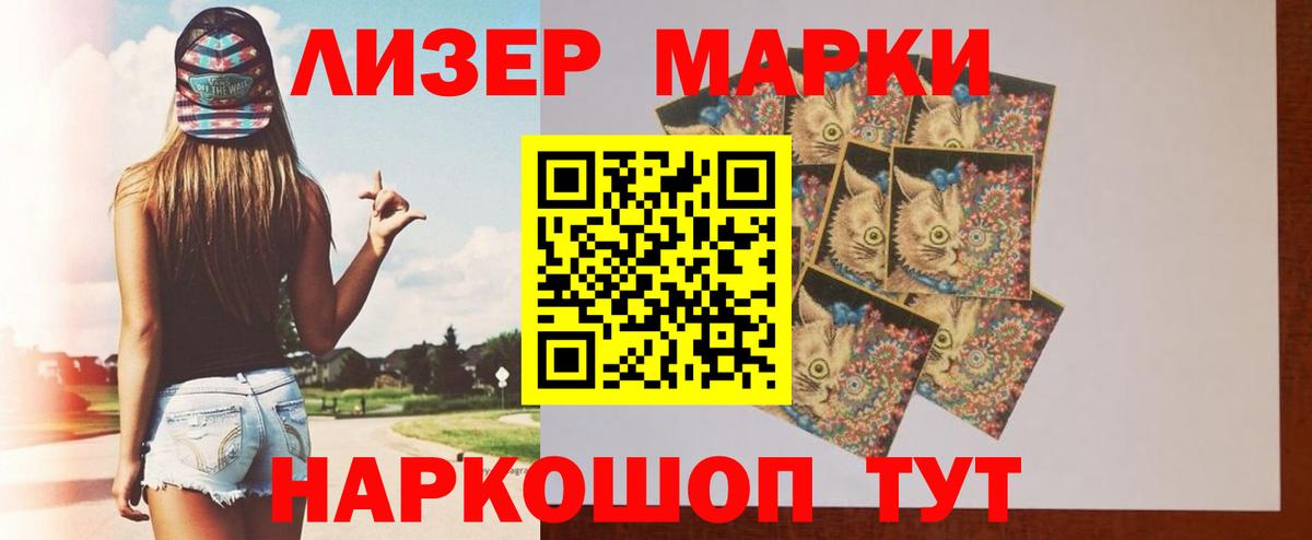 Псилоцибиновые грибы Тольятти