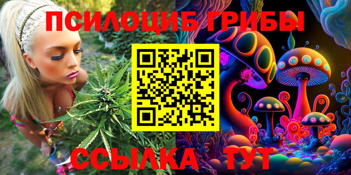 Галлюциногенные грибы Psilocybine cubensis  Вход с VPN  Тольятти 