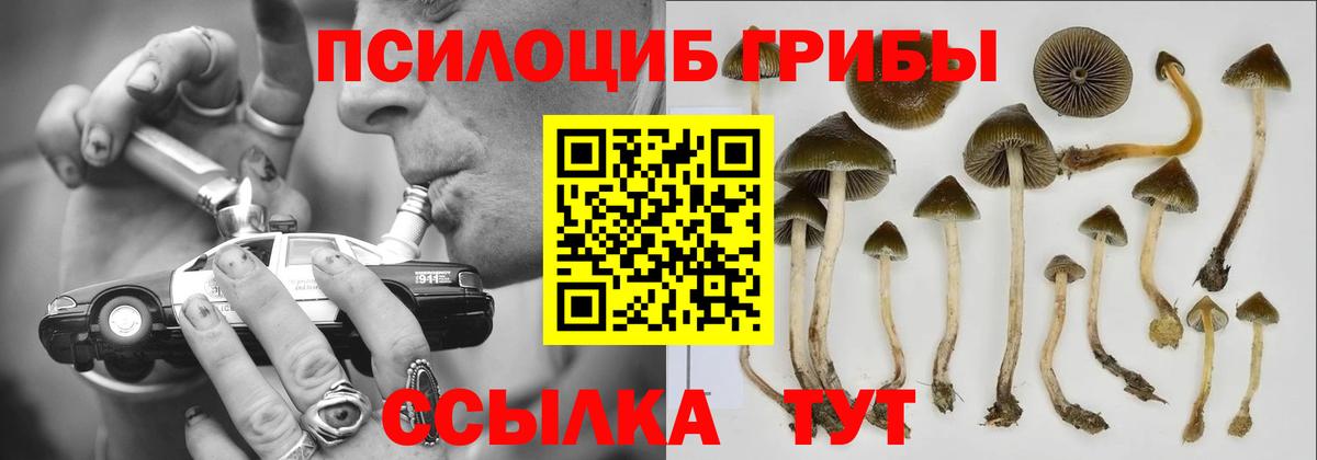 Псилоцибиновые грибы Magic Shrooms Тольятти
