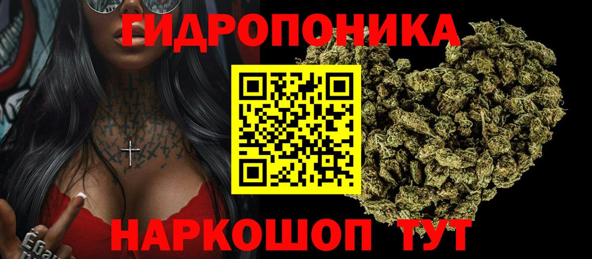 Тольятти  Бошки марихуана THC 21%  Канабис план  Вход с VPN 